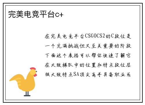 完美电竞平台c+
